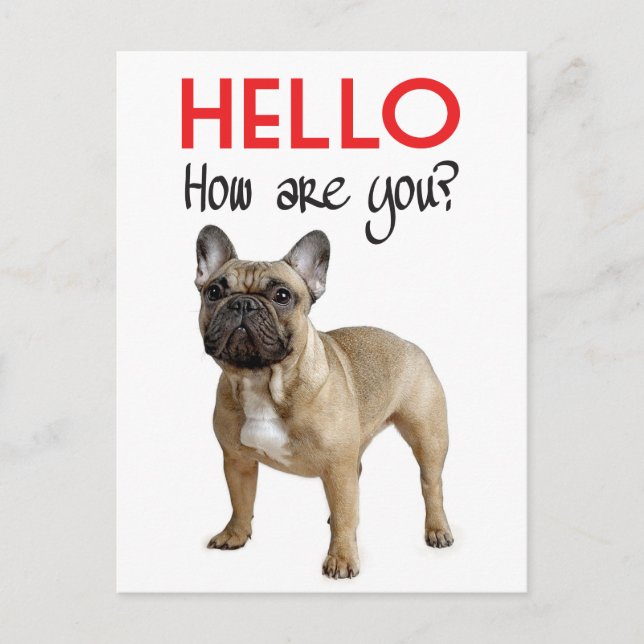 Hej Fransk Bulldog Puppy Hund Post Card Vykort (Framsida)