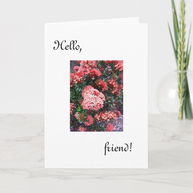 Hej Friend Card /har tänkt på dig Kort (Framsida)