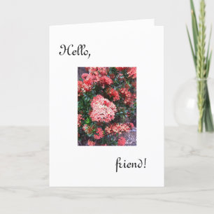Hej Friend Card /har tänkt på dig Kort