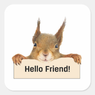 Hej Friend Funny Squirrel Fyrkantigt Klistermärke