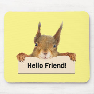 Hej Friend Funny Squirrel Musmatta