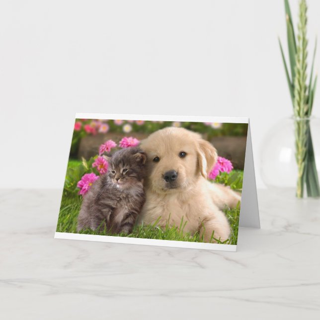 Hej Friend Golden Retriever Puppy Kitten Card Kort (Framsida)