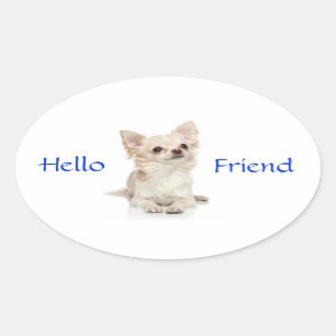 Hej Friend Long-färgade chihuahua-fästare Ovalt Klistermärke