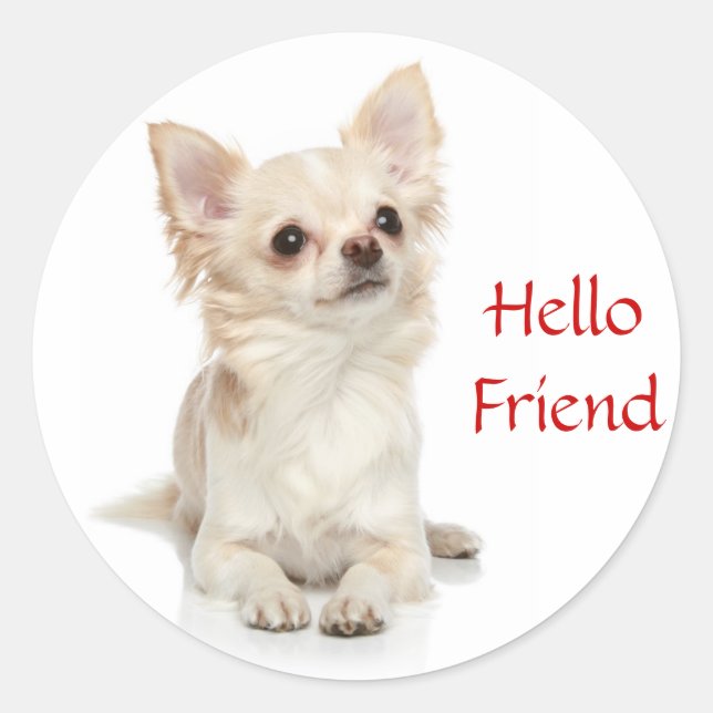 Hej Friend Long Hved Chihuahua Sticker Runt Klistermärke (Framsida)