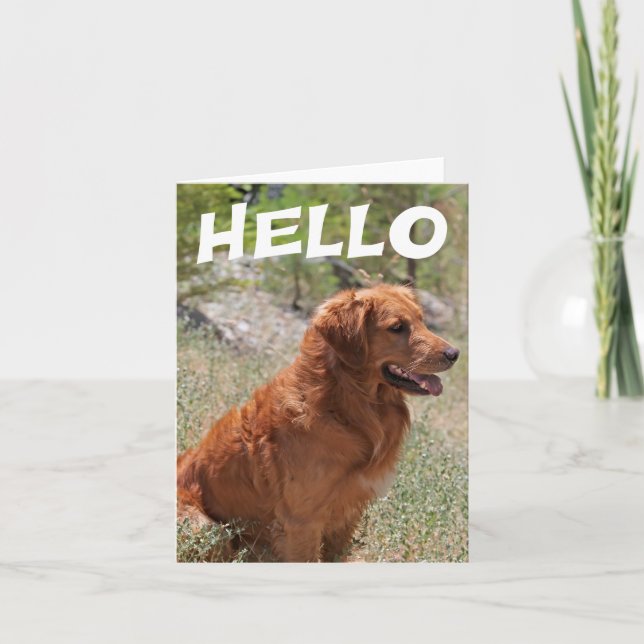 Hej Golden Retriever Puppy Hund Blank Notecard Kort (Framsida)