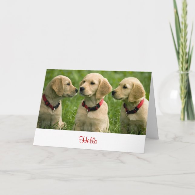 Hej Golden Retriever - valpar - tomt anteckningsko Kort (Framsida)