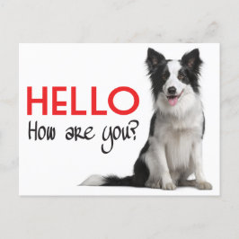Hej Gräns Collie Puppy Hund Post Card Vykort