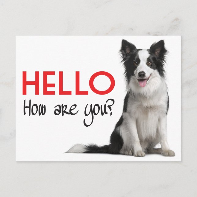 Hej Gräns Collie Puppy Hund Post Card Vykort (Framsida)