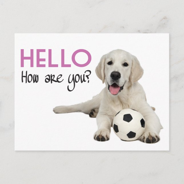Hej Gul Labrador Retriever Postkort Vykort (Framsida)