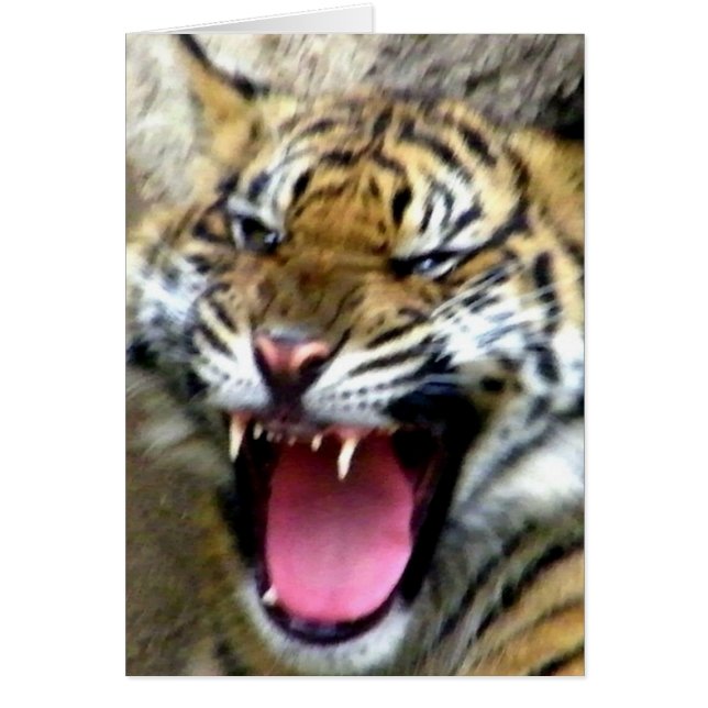 Hej! Hälsningskort (Framsidan)