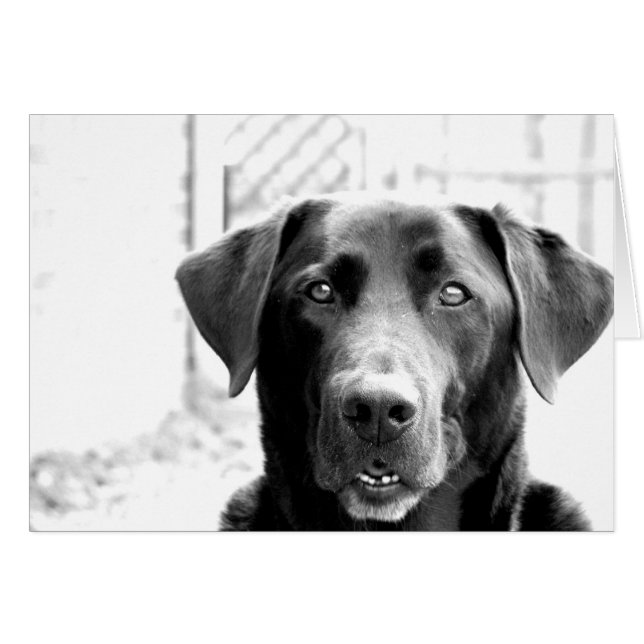 Hej Hälsningskort (Framsidan Horizontal)