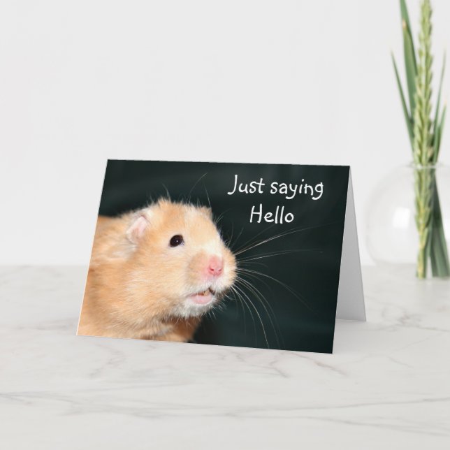 Hej Hamster Kort (Framsida)