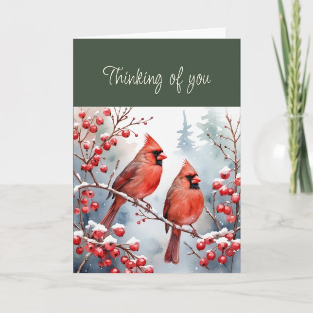 Hej Hej... Du Red Bird Cardinals Snö Kort (Framsida)