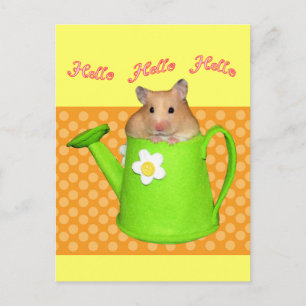 Hej hej hamster vykort
