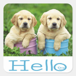 Hej/Hi Labrador Retriever Puppy Hund Stickers Fyrkantigt Klistermärke