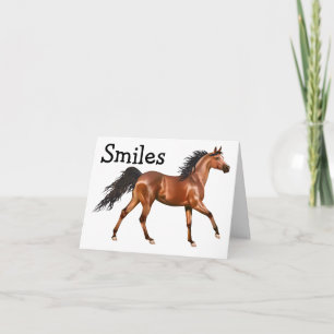 Hej Horse Equestrian Western Thinking of You Kort