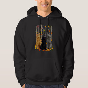 Hej Höstmaple Katt Löv Fall Heart Cat Hoodie