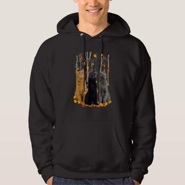 Hej Höstmaple Katt Löv Fall Heart Cat Hoodie (Framsida)