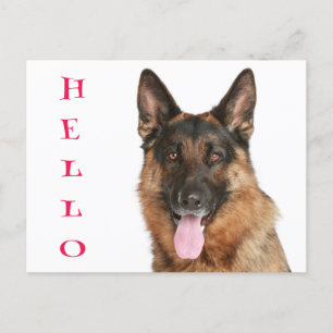 Hej Hund Blank-kort för påfyllning av påsbesättnin Vykort