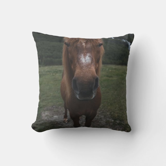 HEJ JAG ÄR EN HORSE KUDDE (Framsida)