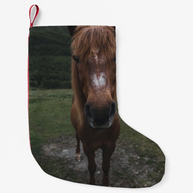 HEJ JAG ÄR EN HORSE LITEN JULSTRUMPA (Framsidan)