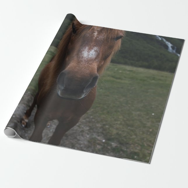 HEJ JAG ÄR EN HORSE PRESENTPAPPER (Utrullad)