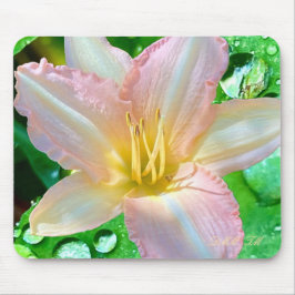 "Hej - Jag är en vacker blomma", musslor Musmatta