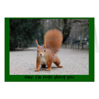 Hej, jag är nöt om dig hälsningskort