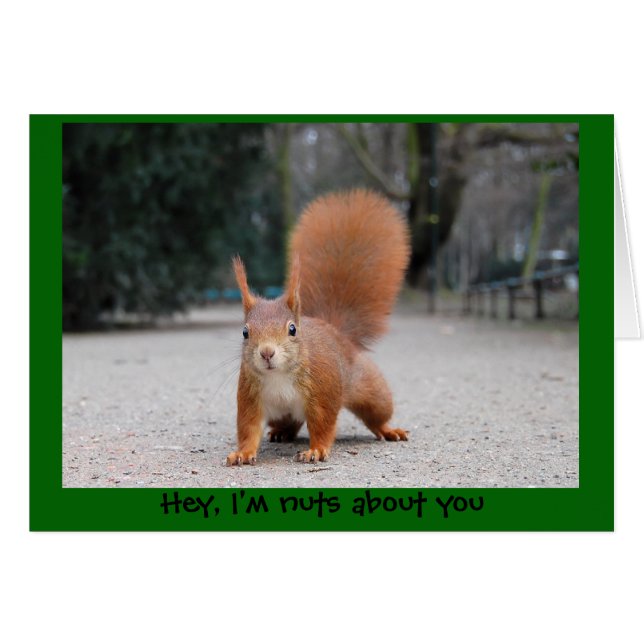 Hej, jag är nöt om dig hälsningskort (Framsidan Horizontal)