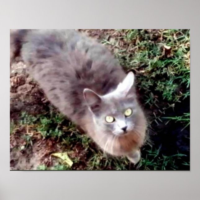 Hej kan du höra mig poster (Framsidan)