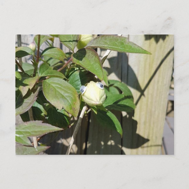 Hej Kermie Vykort (Framsida)