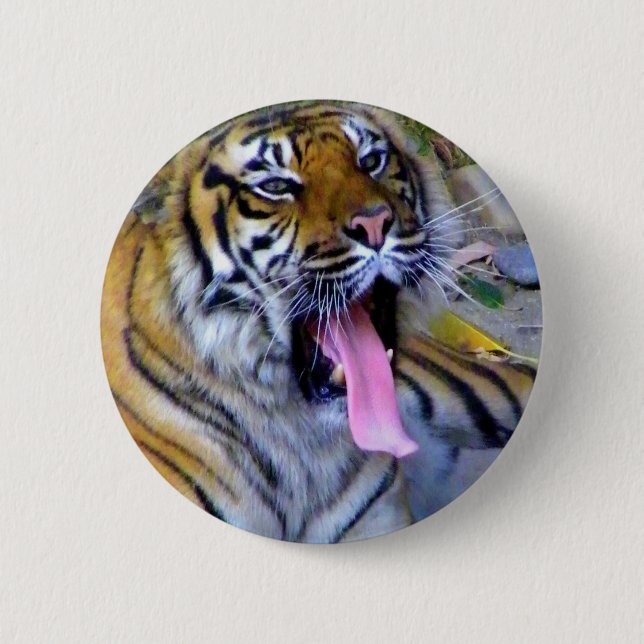 Hej! Knapp (Framsida)