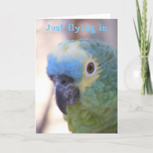 Hej Kort