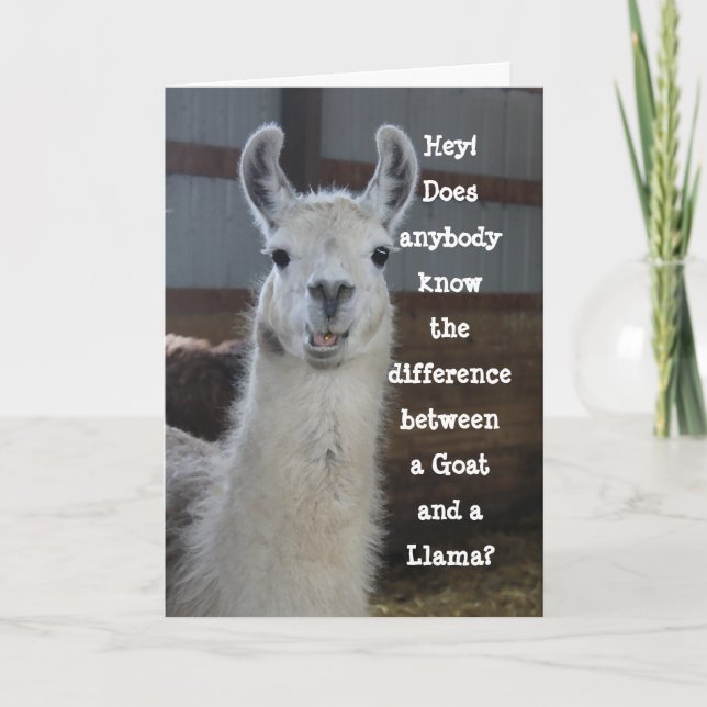 Hej-kort | Cute Funny Llama Humor Kort (Framsida)