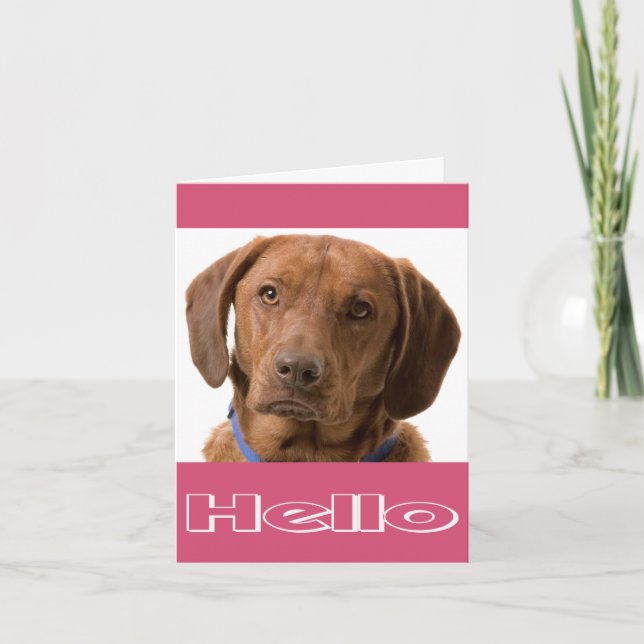 Hej Labrador Retriever Puppy Hund Note Card Kort (Framsida)