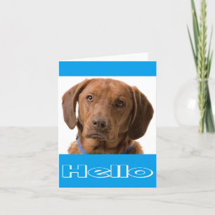 Hej Labrador Retriever Puppy Hund Note Card Kort