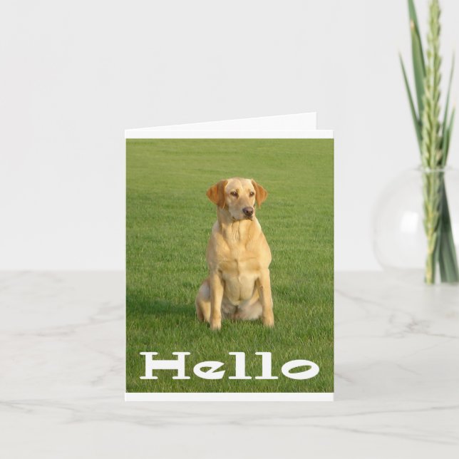 Hej Labrador Retriever Puppy Hundar Note Card Kort (Framsida)