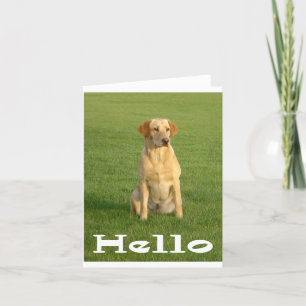 Hej Labrador Retriever Puppy Hundar Note Card Kort