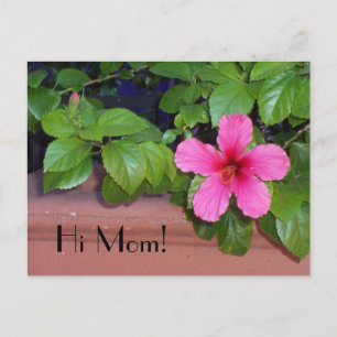Hej Mamma! Blomsterkort Vykort