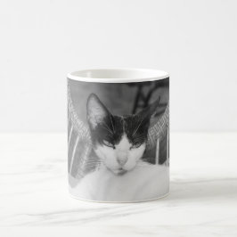 Hej, Meow.. Kaffemugg
