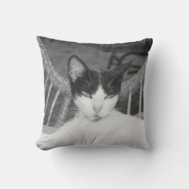Hej, Meow.. Kudde