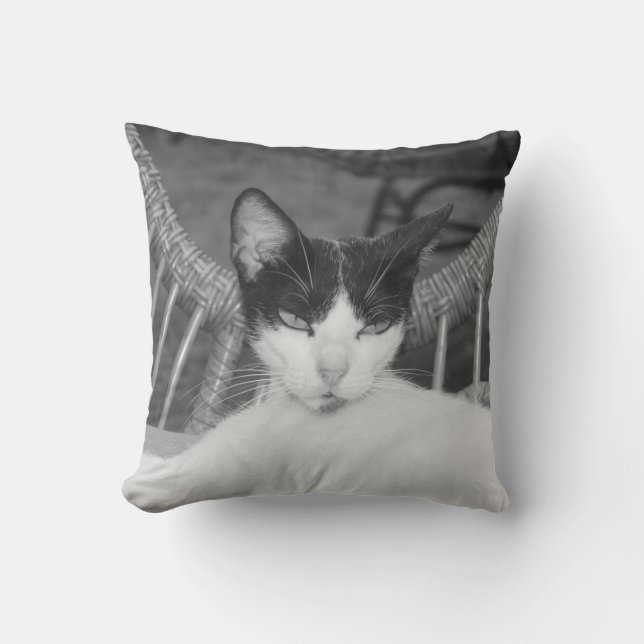 Hej, Meow.. Kudde (Framsida)