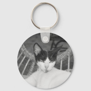 Hej, Meow.. Nyckelring