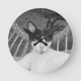 Hej, Meow.. Rund Klocka