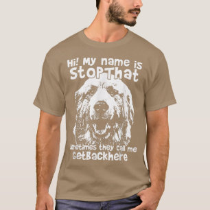 Hej min Namn är StopDen där underbara Underbara Py T Shirt