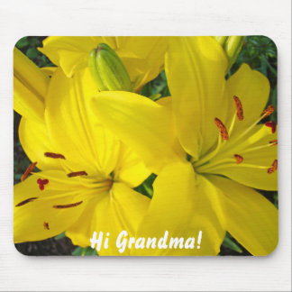 Hej mormor! Julpresent musmattor med kvalitet Lili