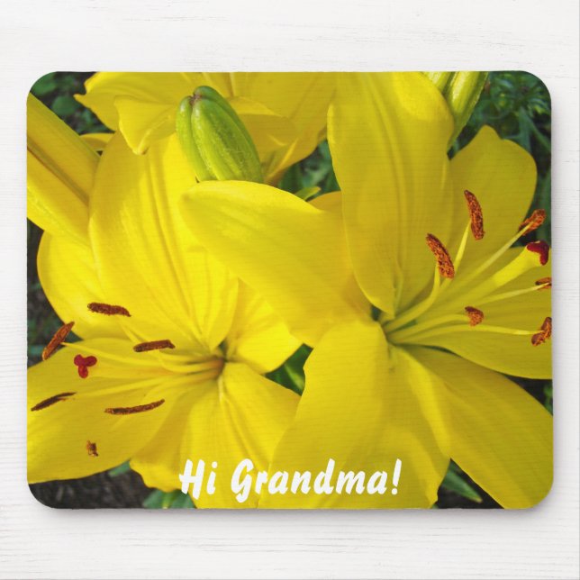 Hej mormor! Julpresent musmattor med kvalitet Lili (Framsidan)