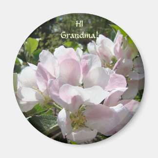 HEJ MORMOR! Magnetpresenter ÄPPLABLOM Magnet