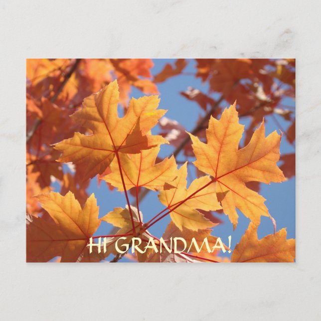 HEJ MORMOR! VYKORT Orange Höstlöv Träd (Framsida)