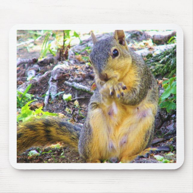 Hej_ Musmatta (Framsidan)